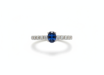 Product image for color ID 43