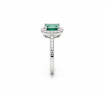 Product image for color ID 65
