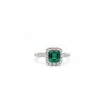 Product image for color ID 65